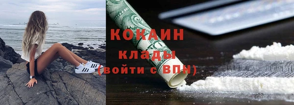 эйфоретик Сосновка