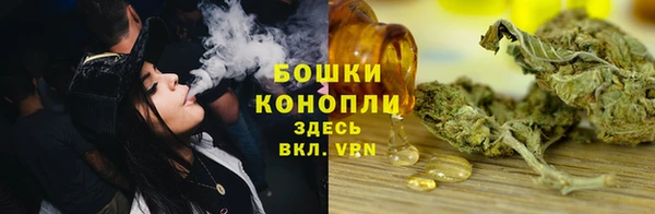 эйфоретик Сосновка