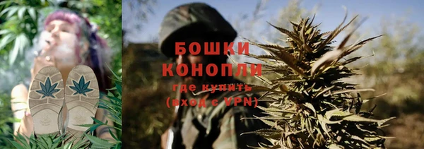 эйфоретик Сосновка