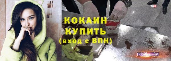 МДПВ Сосновый Бор