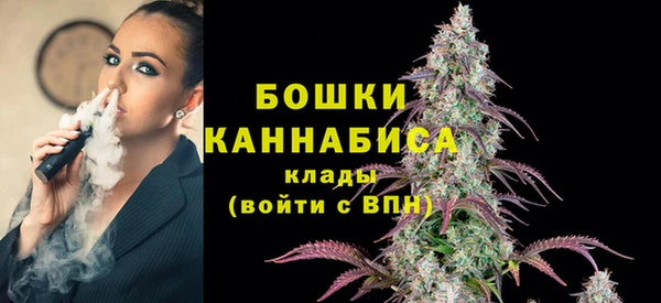 МДПВ Сосновый Бор