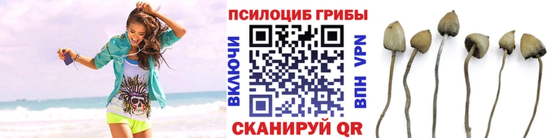площадка телеграм  Фрязино  Галлюциногенные грибы Magic Shrooms 