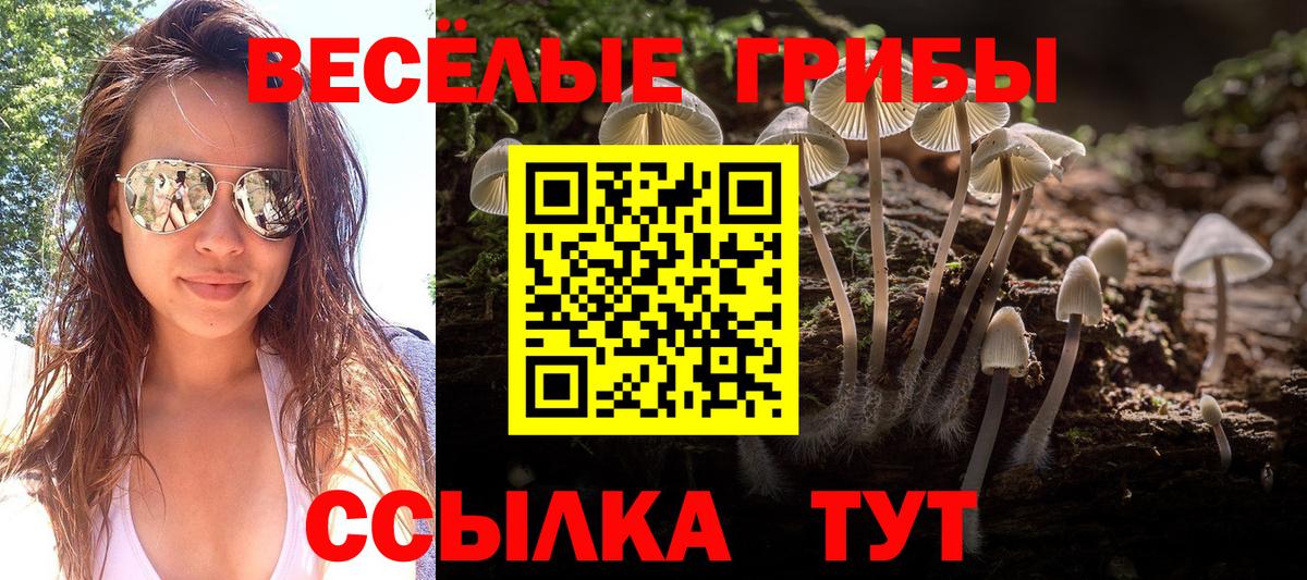 Галлюциногенные грибы Magic Shrooms Фрязино