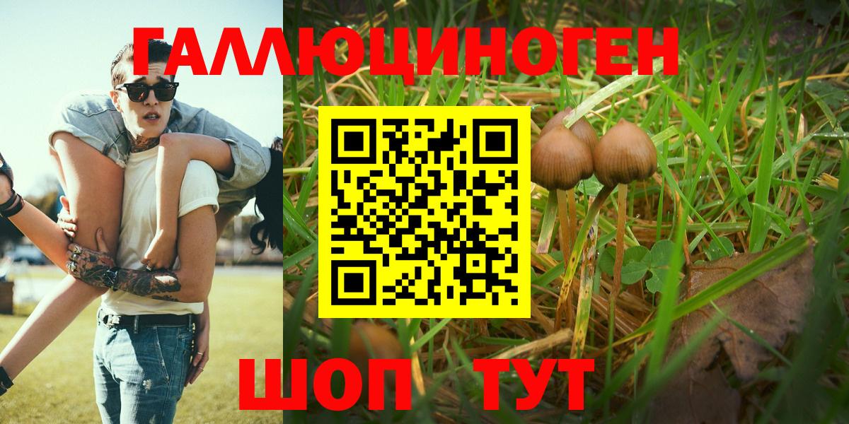 Псилоцибиновые грибы мицелий  Фрязино 