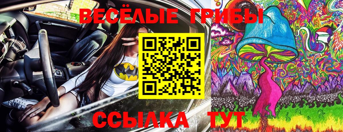 Галлюциногенные грибы MAGIC MUSHROOMS  цена наркотик  Фрязино  Псилоцибиновые грибы Psilocybine cubensis  Вход с VPN 